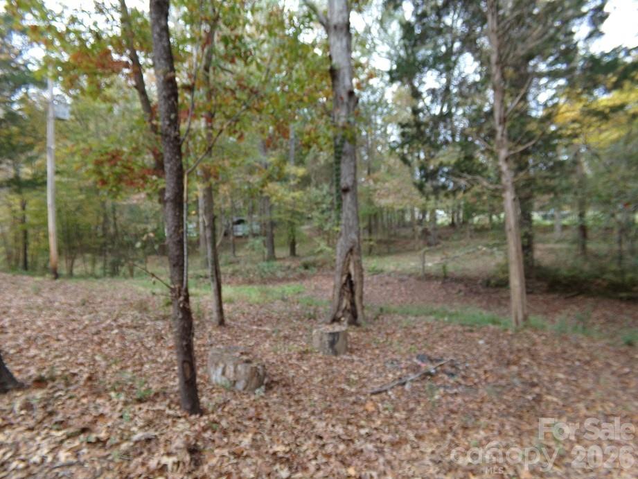 627 Bolick Road Fort Mill, SC 29707 - Photo 18 of 20 a view of a forest with trees