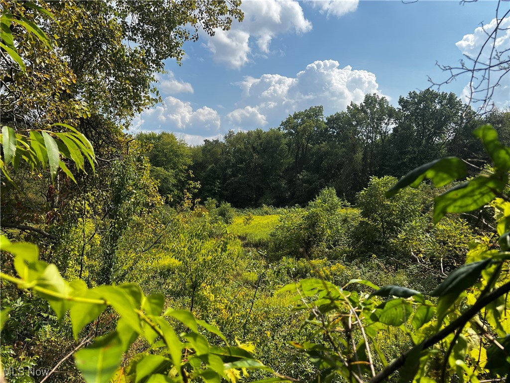 Cates Road Akron, OH 44312 - Photo 16 of 28