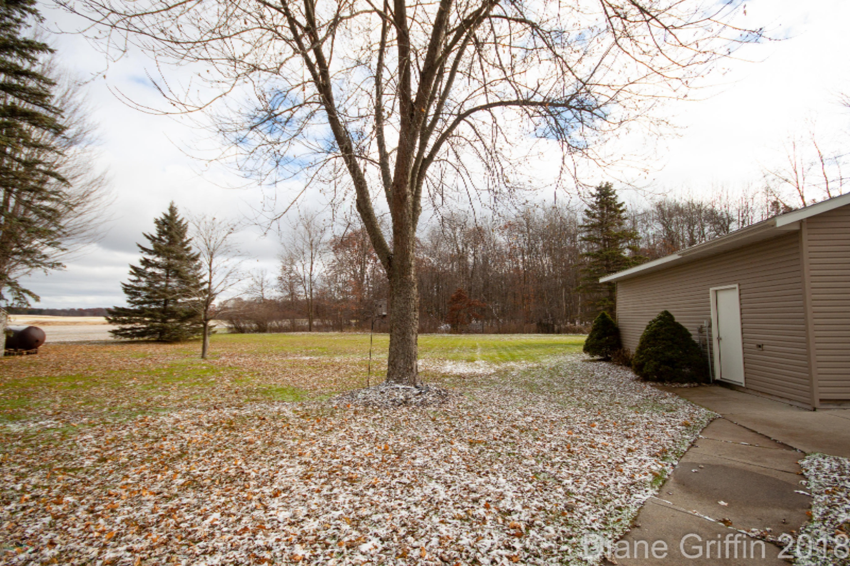3084 North State Road Ionia, MI 48846 - Photo 45 of 46 IMG_4274