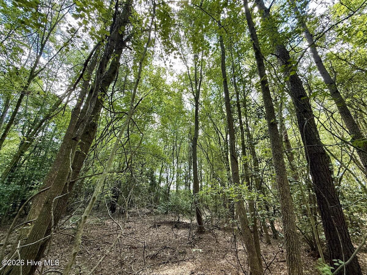 Lot 3 Mobley Road Lucama, NC 27851 - Photo 8 of 34 8