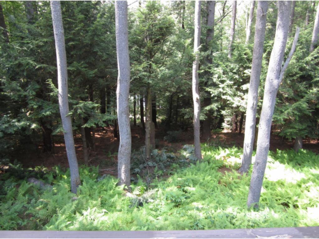 110 Morgan Road Richmond, NH 03470 - Photo 22 of 27
