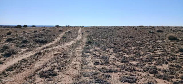 a view of a dry yard with wooden fence