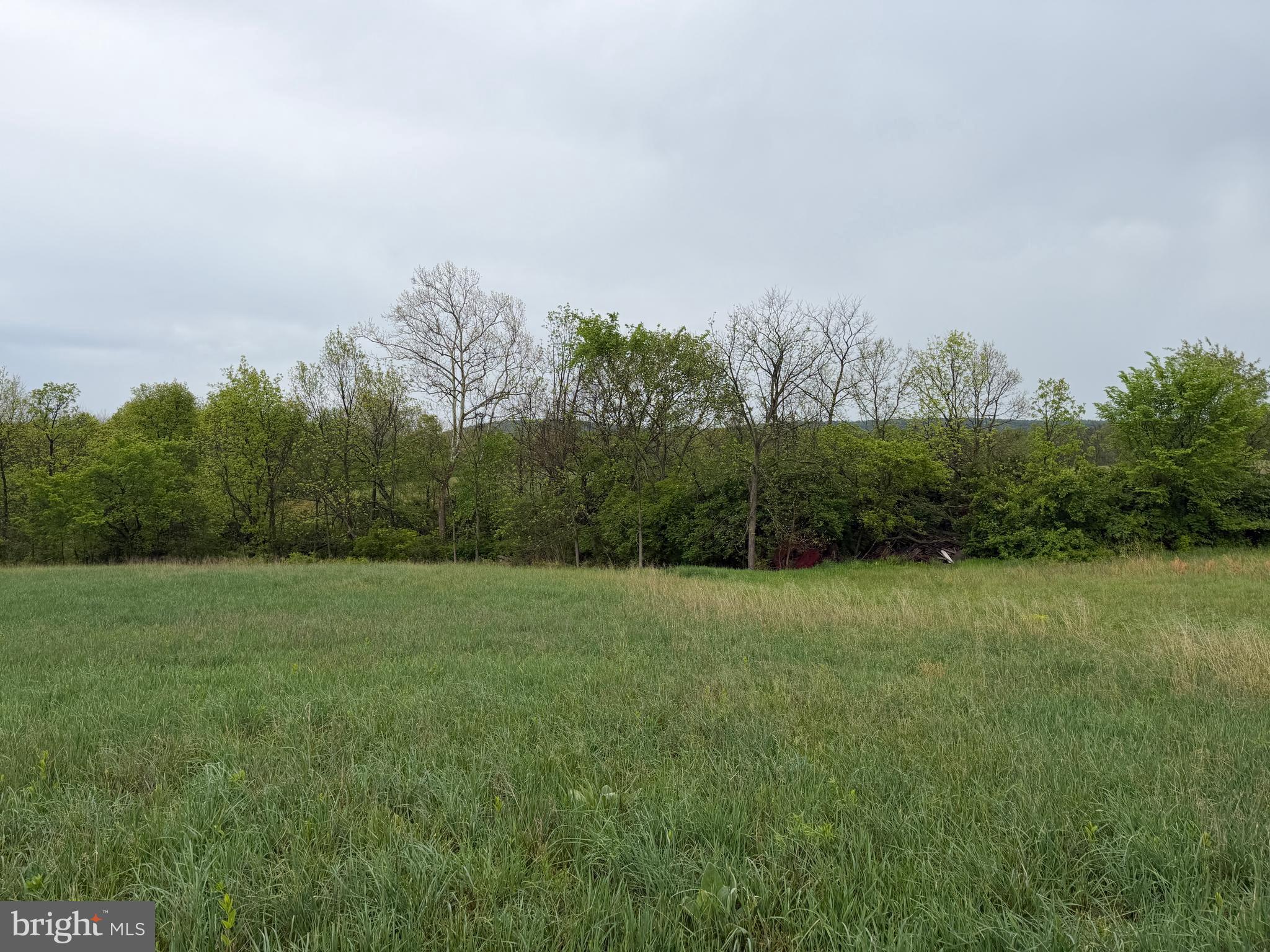 12591 Shimpstown Road Mercersburg, PA 17236 - Photo 60 of 147