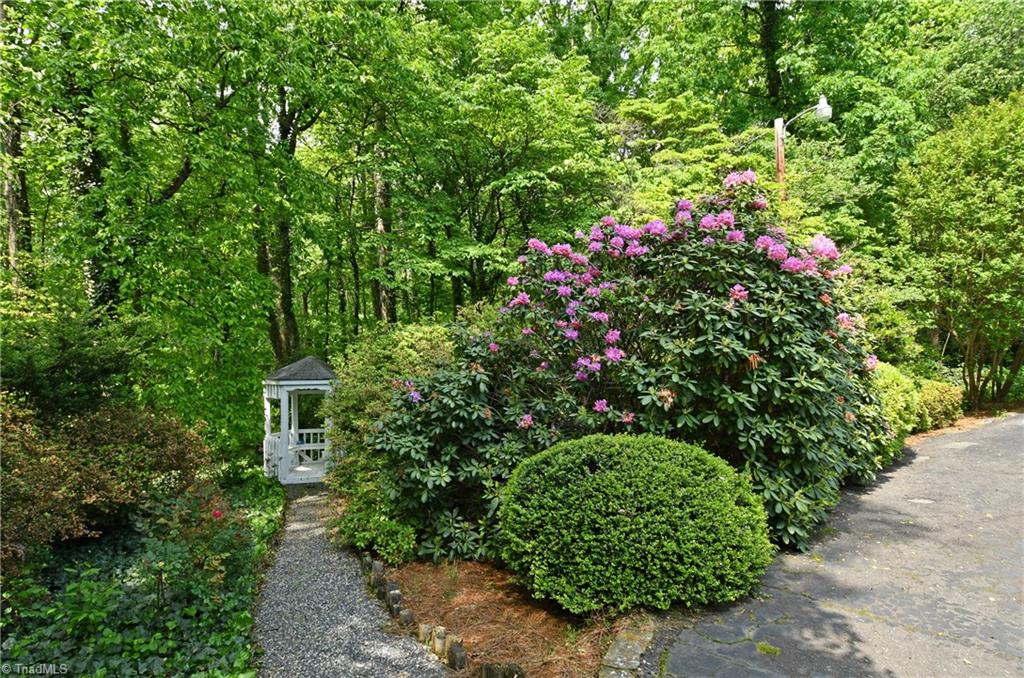 800 Chester Road Winston-Salem, NC 27104 - Photo 19 of 22 Gallery Image 19