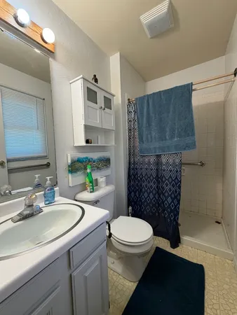 a bathroom with a sink a toilet and shower