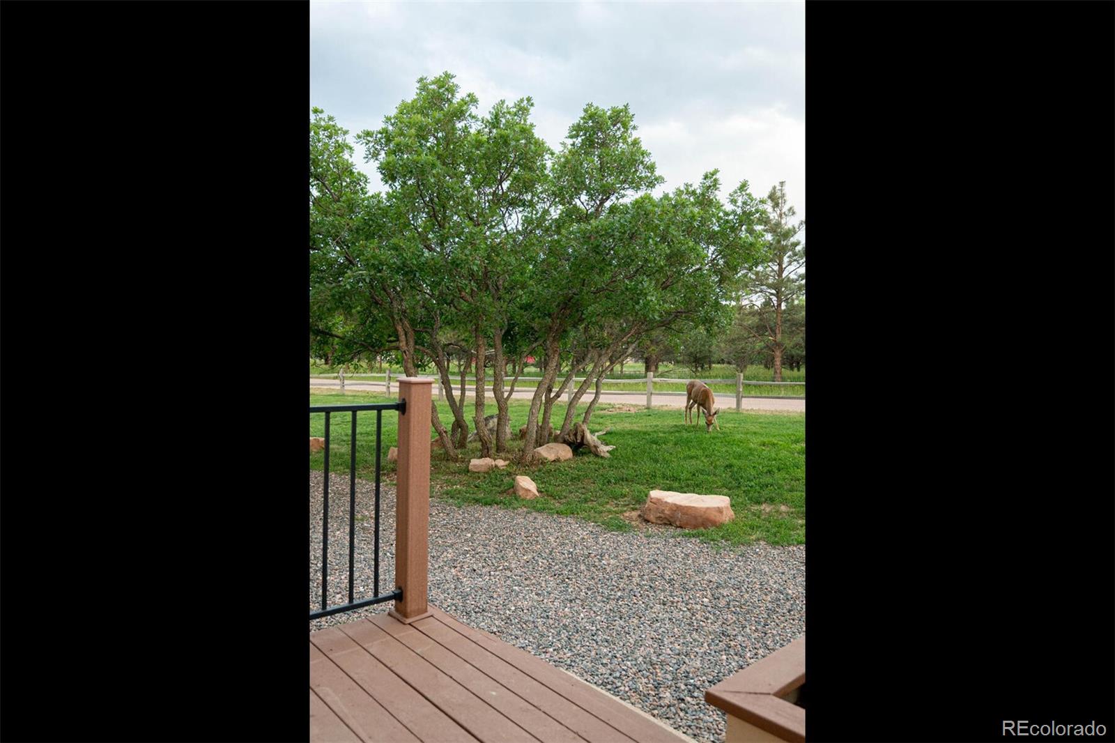 3240 Doolittle Road Monument, CO 80132 - Photo 25 of 34