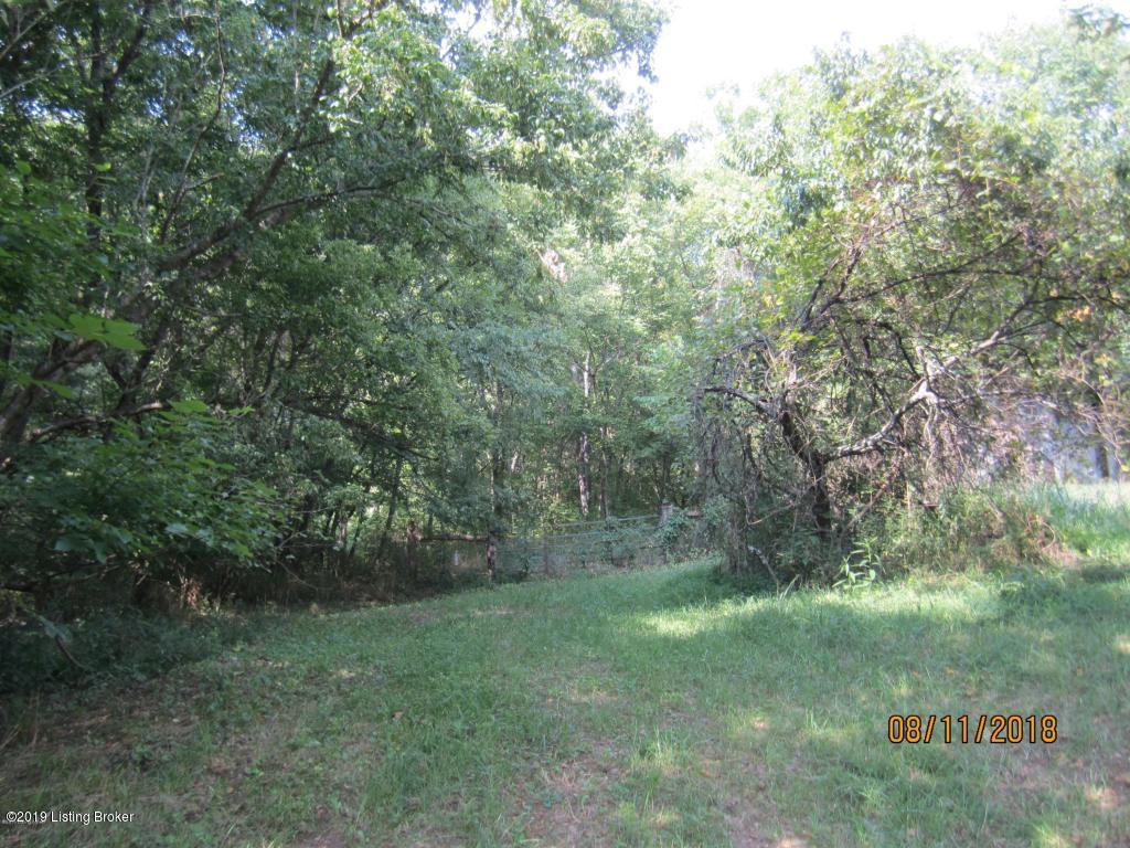 3210 Barebone Road Bedford, KY 40006 - Photo 9 of 23 barebone woods