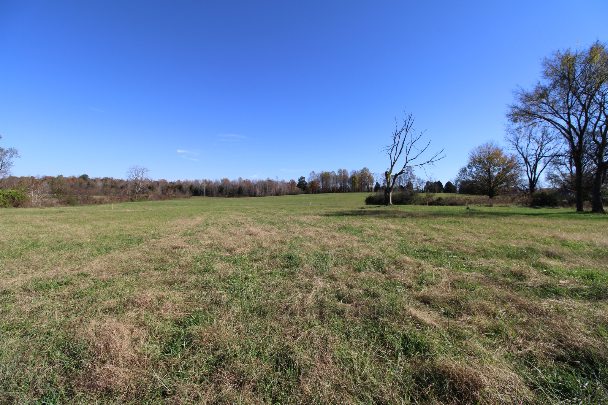 1 Carthage Road Red Boiling Springs, TN 37150 - Photo 14 of 19 a view of a field with ocean view
