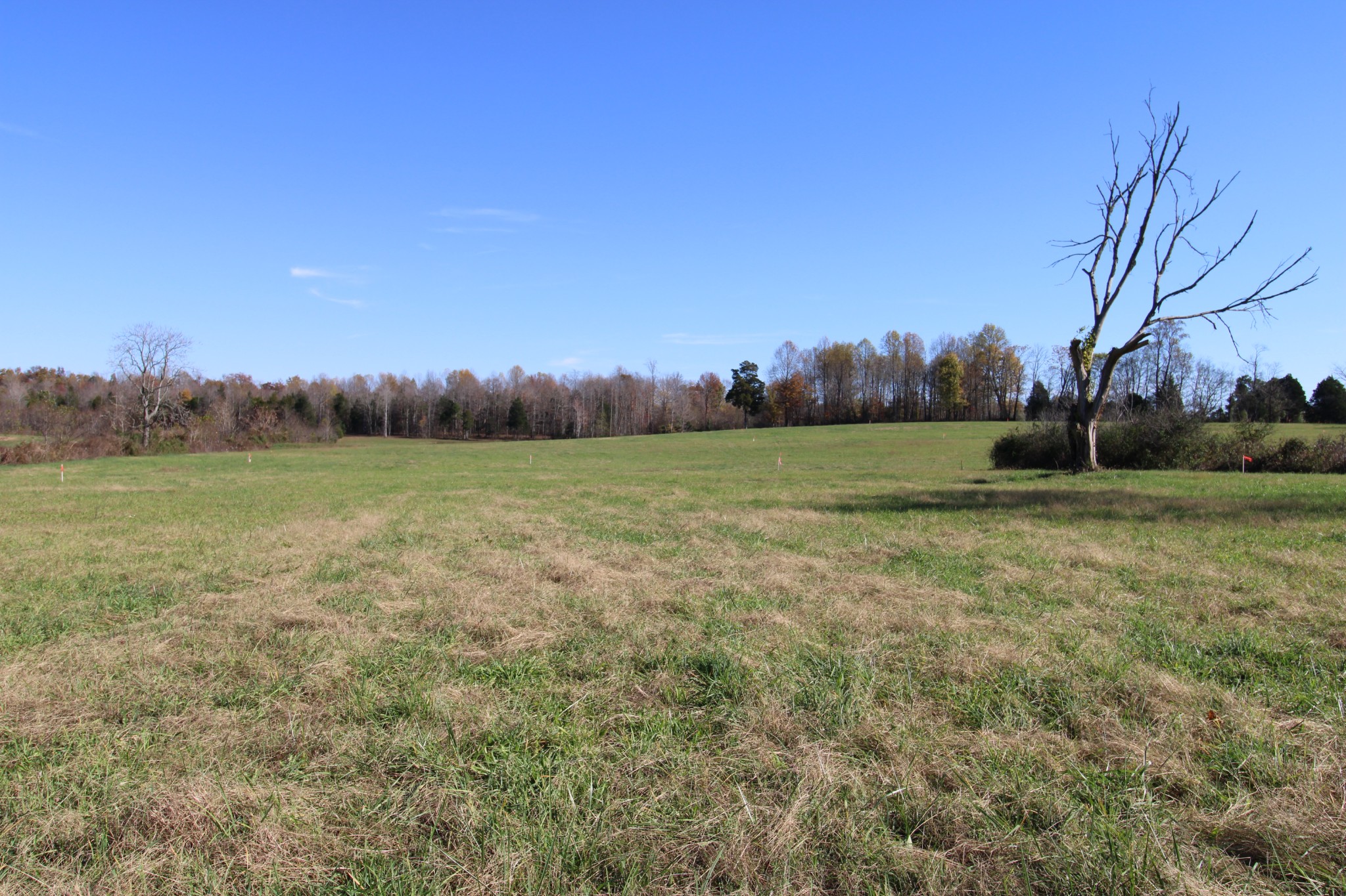 1 Carthage Road Red Boiling Springs, TN 37150 - Photo 15 of 19 a view of a field with trees in the background