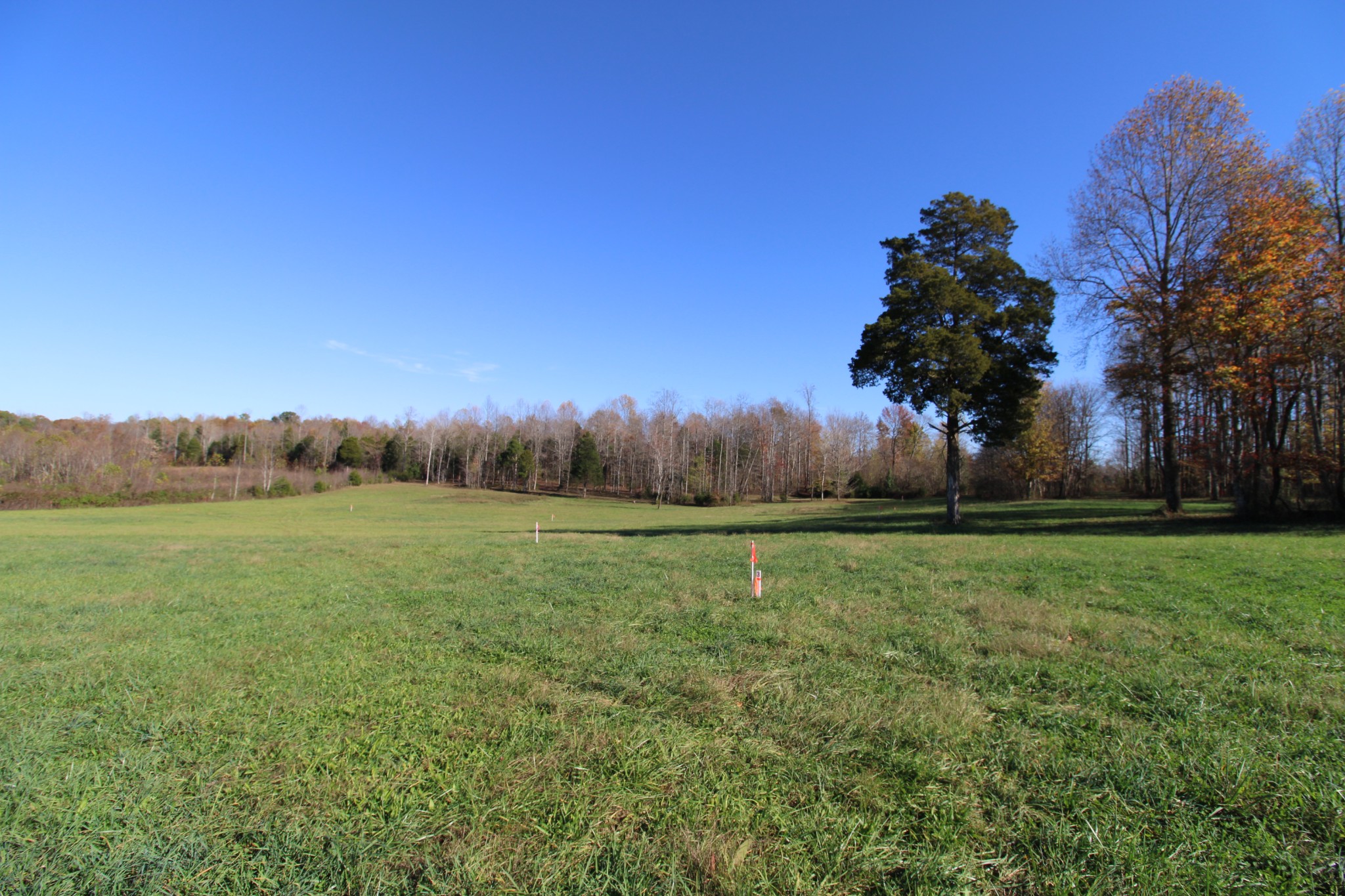 1 Carthage Road Red Boiling Springs, TN 37150 - Photo 19 of 19