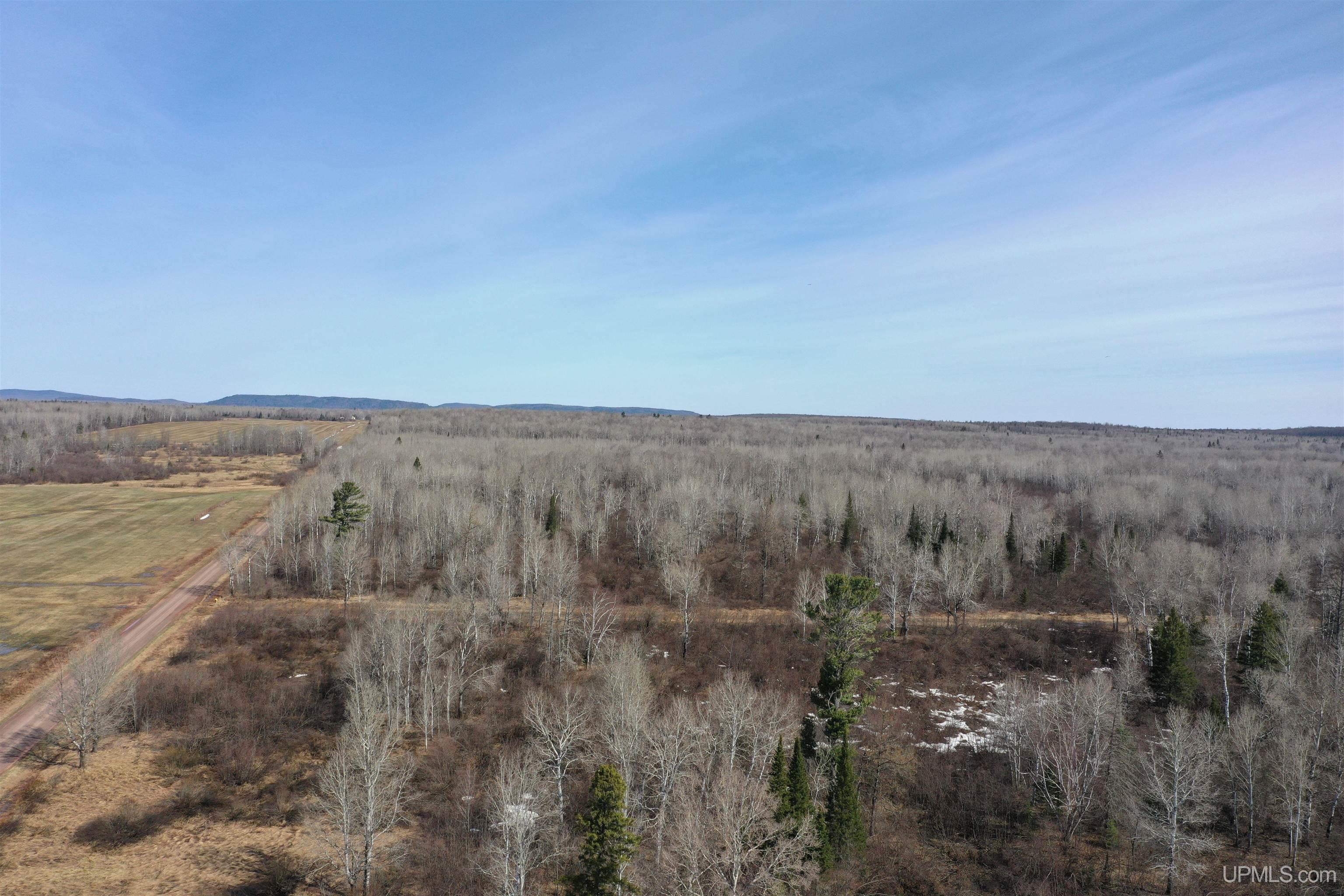 Tbd North Novak Road Ewen, MI 49925 - Photo 5 of 12
