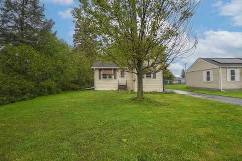 a backyard of a house with plants and large tree
