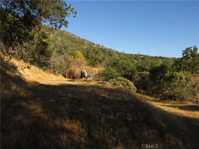 a view of a field with a tree in it
