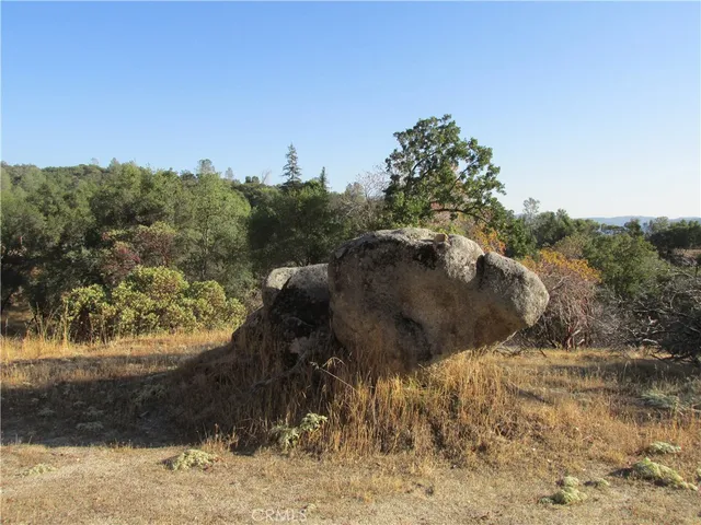 a view of a yard next to a yard