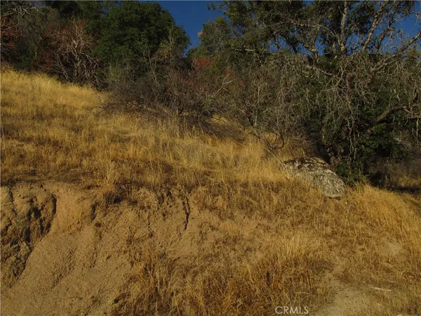 a view of a city with lush green forest