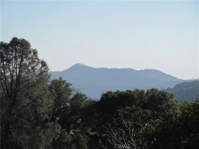 a view of a yard with trees