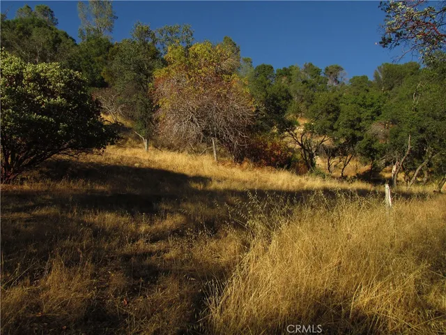 a view of a lake in between forest