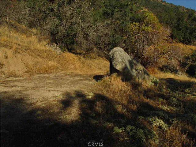 a view of back yard of the house