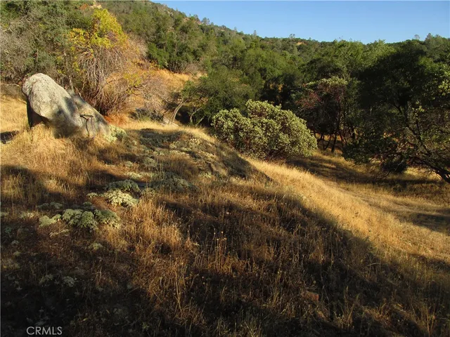 a view of a dry yard with mountains in the background