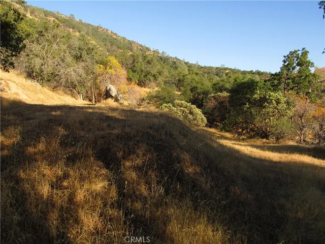 a view of a dry yard with trees in the background