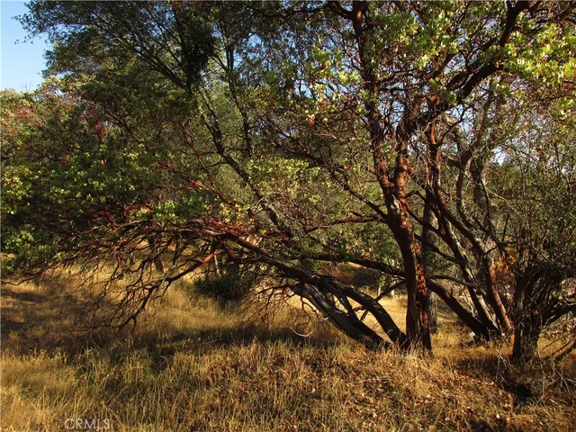$39,500 | 2-ac Old Oaks Court, North Fork, CA 93643