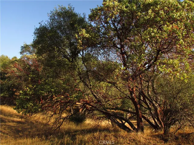 $39,500 | 2-ac Old Oaks Court, North Fork, CA 93643