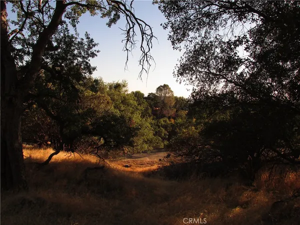a view of a lake in middle of forest