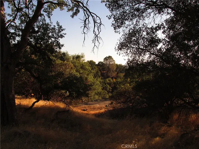 a view of a lake in middle of forest