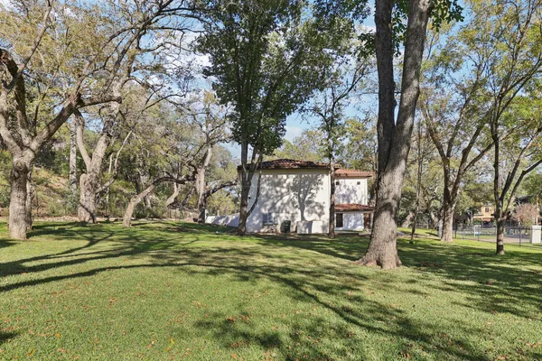 a view of a park with large trees