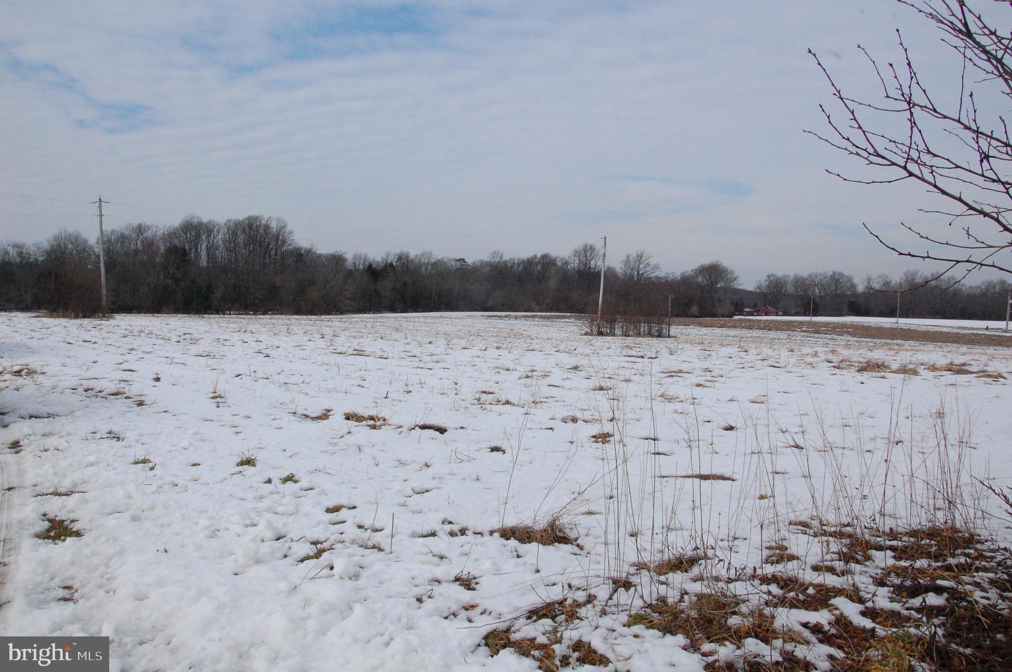 31 Beals Mill Road Bridgeton, NJ 08302 - Photo 2 of 11