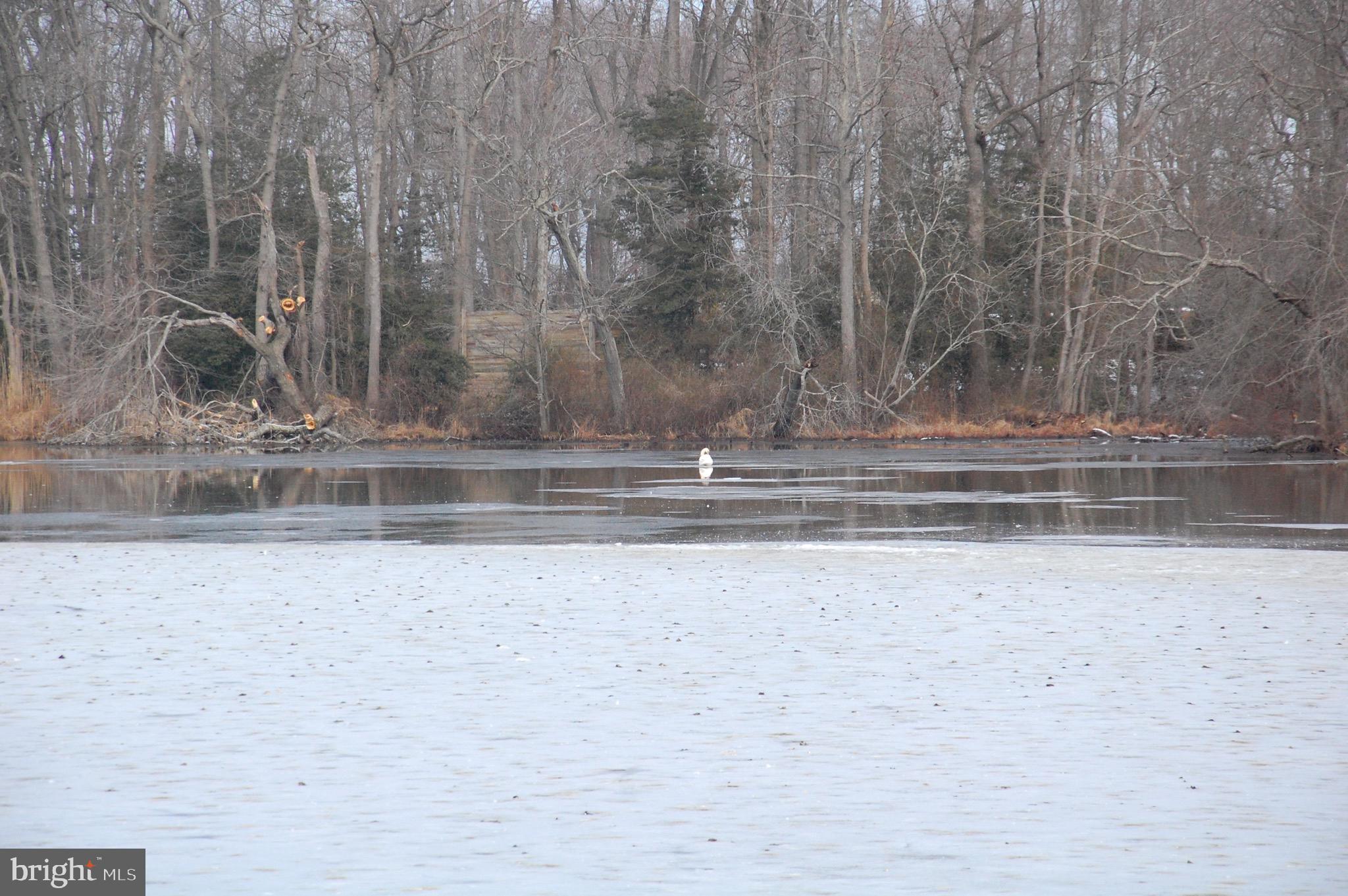 31 Beals Mill Road Bridgeton, NJ 08302 - Photo 8 of 11 Bostwick Lake