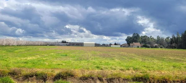 a view of an outdoor space and a yard
