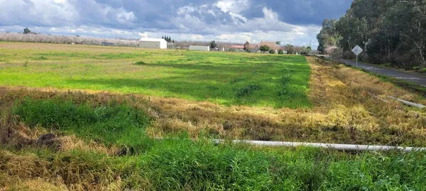 a view of yard with ocean