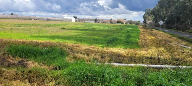 $435,000 | 51090 County Road, Dunnigan, CA 95937