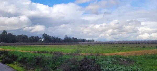 a view of yard and mountain