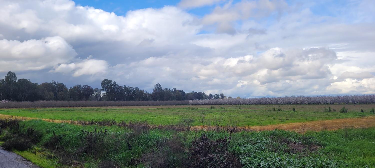 51090 County Road Dunnigan, CA 95937 - Photo 4 of 10