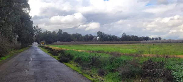 a view of an outdoor space and entertaining space