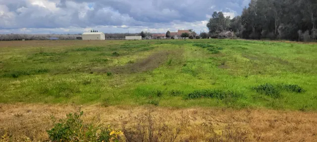 $435,000 | 51090 County Road, Dunnigan, CA 95937