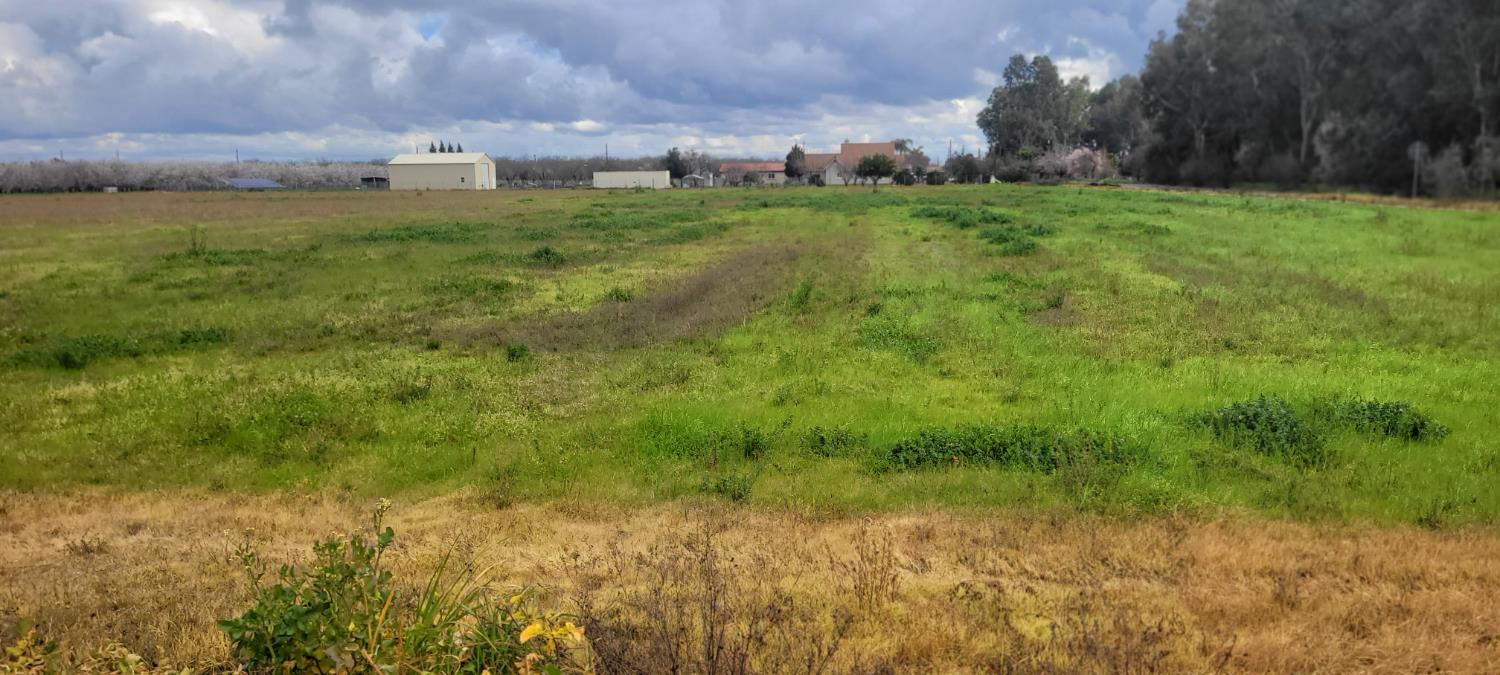 51090 County Road Dunnigan, CA 95937 - Photo 6 of 10