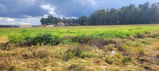 $435,000 | 51090 County Road, Dunnigan, CA 95937