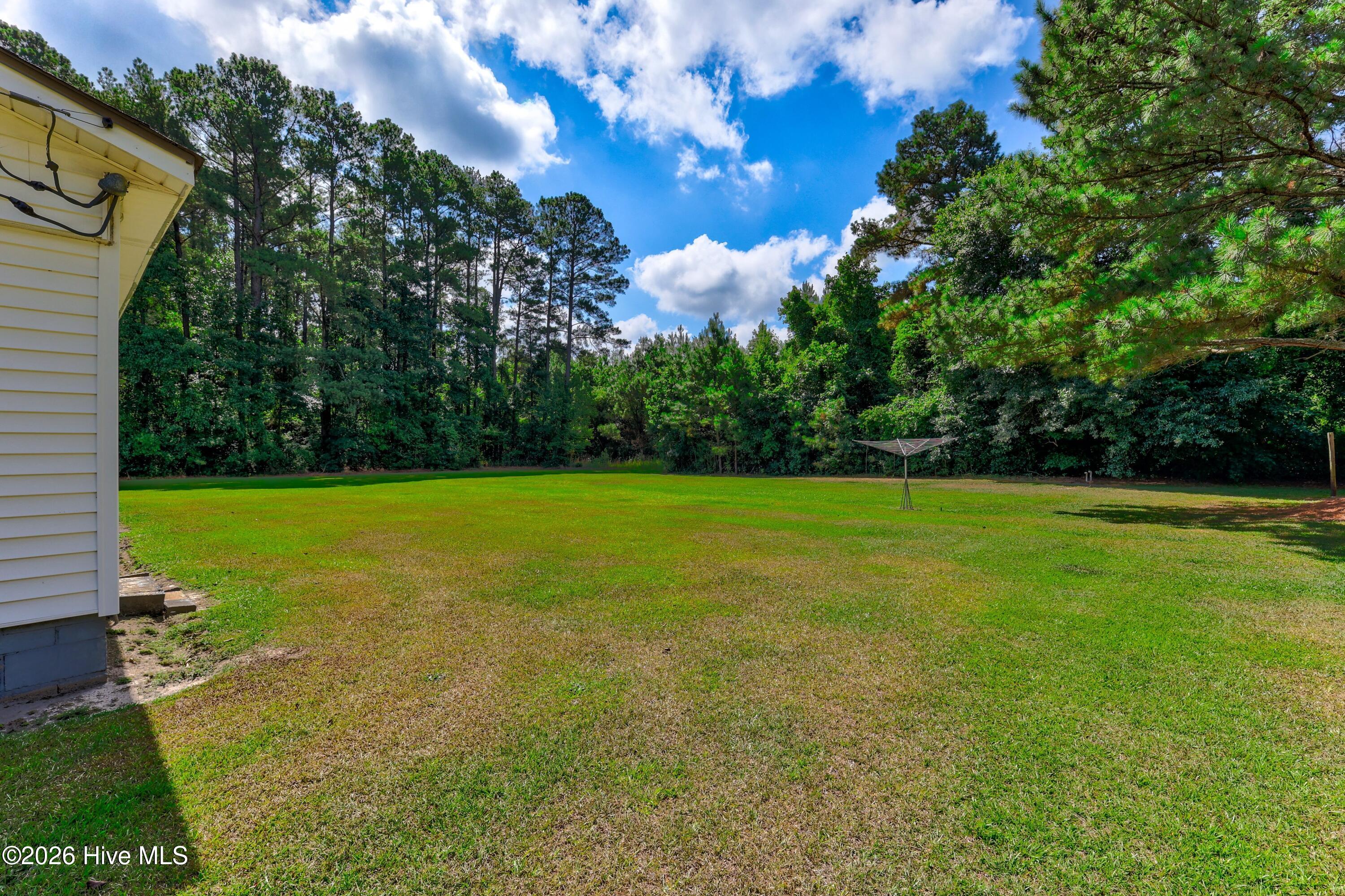 1688 West Wards Bridge Road Kenansville, NC 28349 - Photo 28 of 30