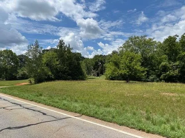 a view of a field with an trees