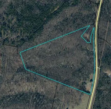 a view of a dry yard