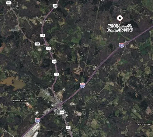 a close up of a tree