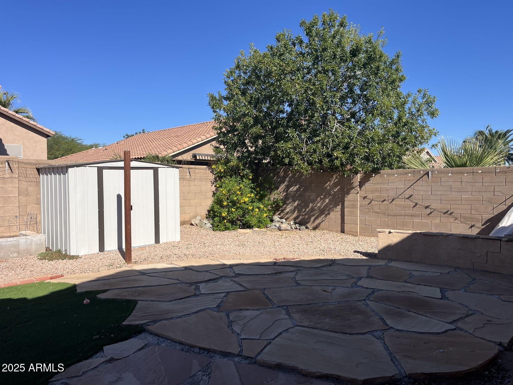 1128 East Sheffield Avenue Gilbert, AZ 85296 - Photo 24 of 24 a view of backyard with large trees