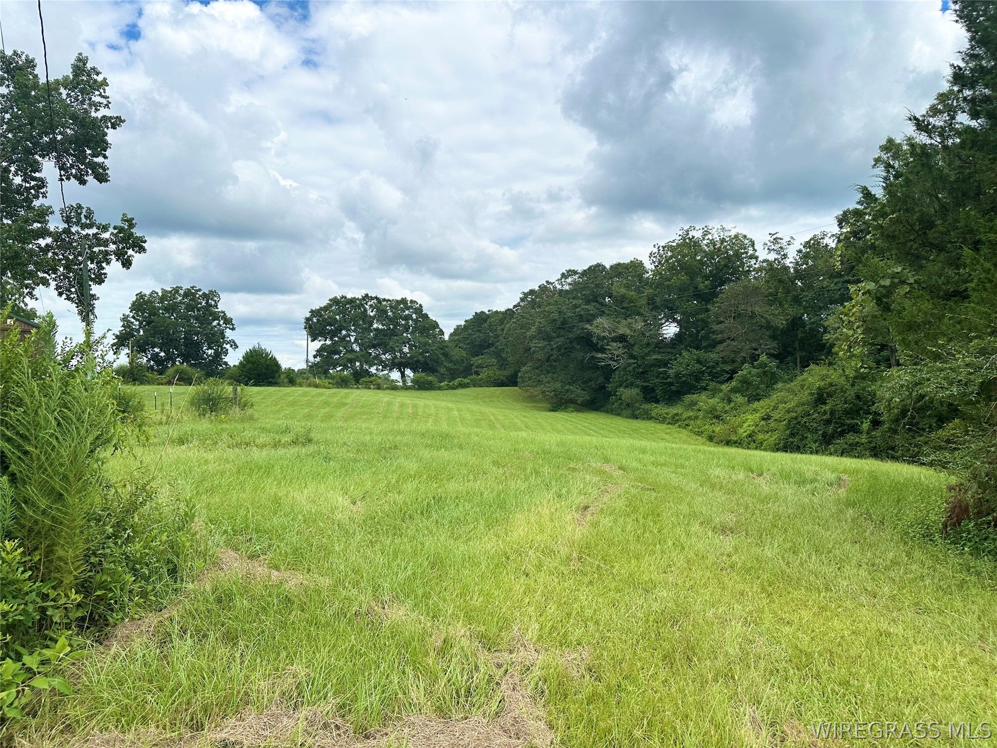 97 Rodeo Road Ariton, AL 36311 - Photo 42 of 60 Gallery Image 42
