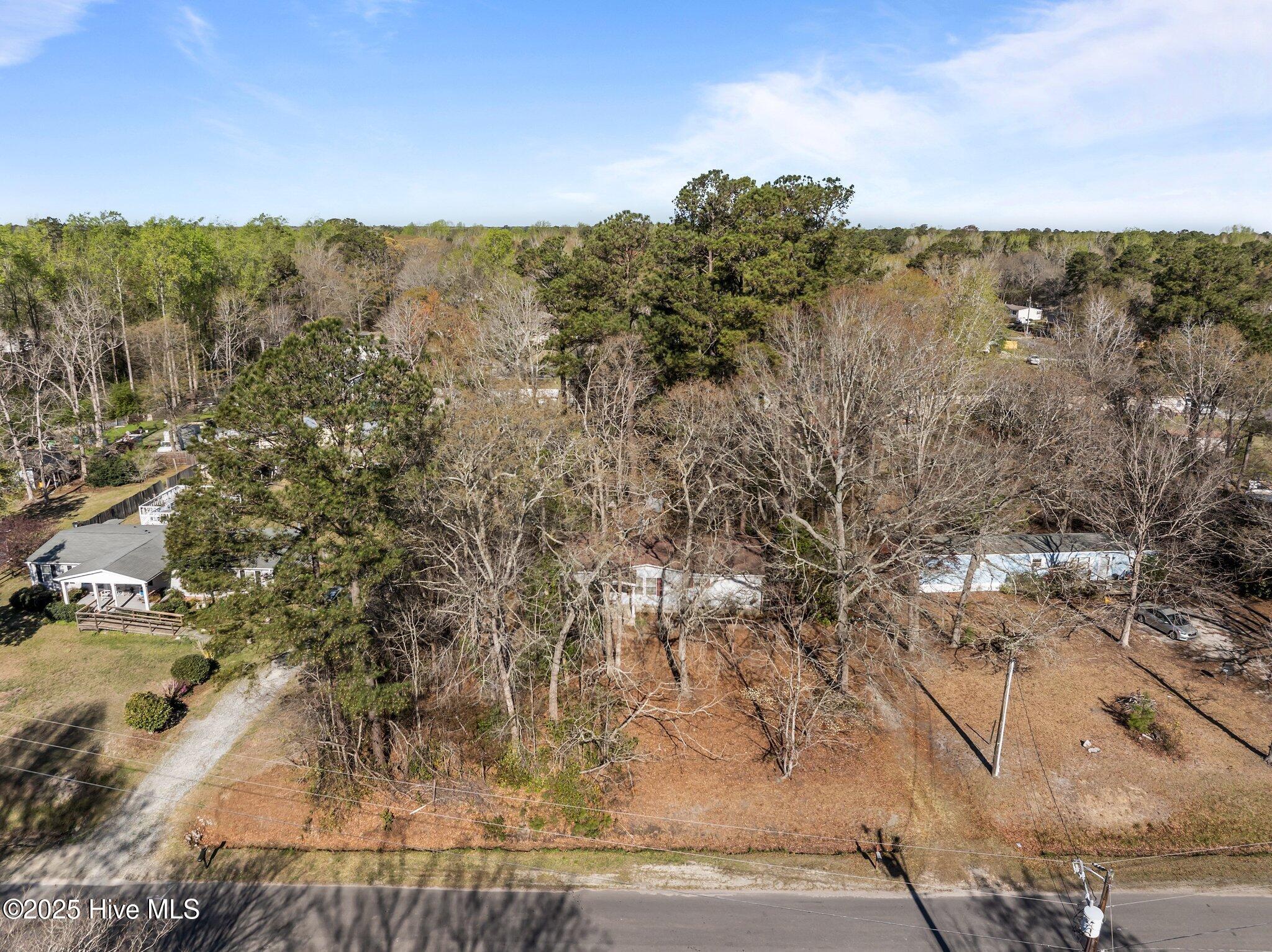 95 Remington Road Rocky Point, NC 28457 - Photo 40 of 49 4-web-or-mls-DJI_20250327095610_0458_D