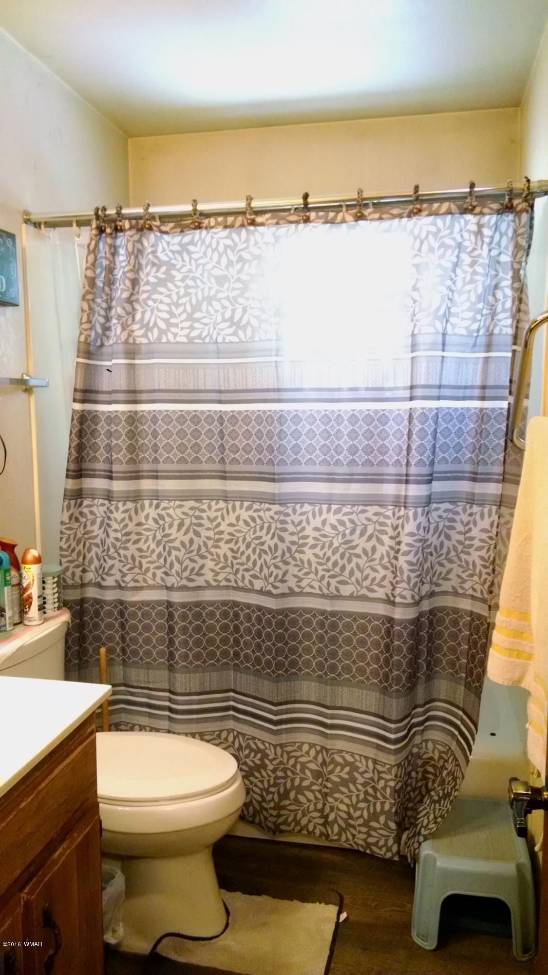 313 Pear Street Snowflake, AZ 85937 - Photo 9 of 22