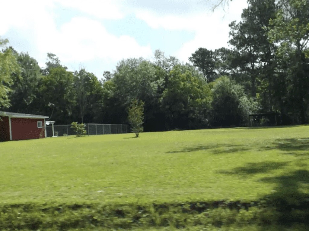 6307 Johnson Lane Lumberton, TX 77657 - Photo 16 of 17