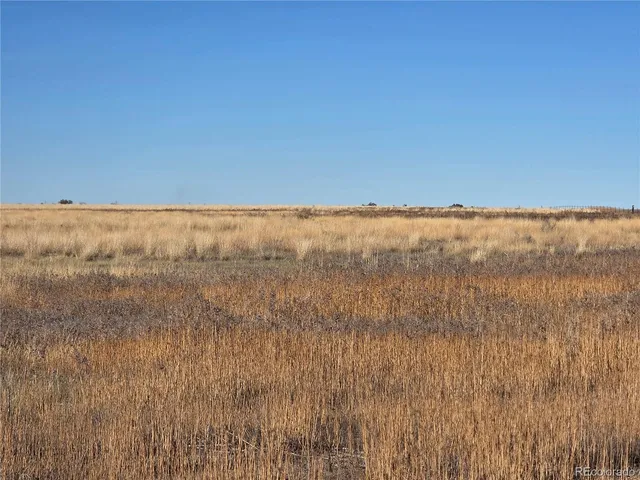 a view of room and yard